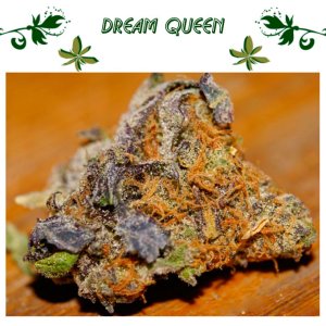 Dream Queen