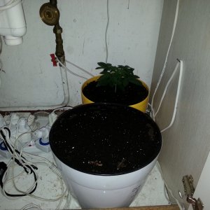 20150723 140911