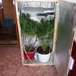 20150723 140950
