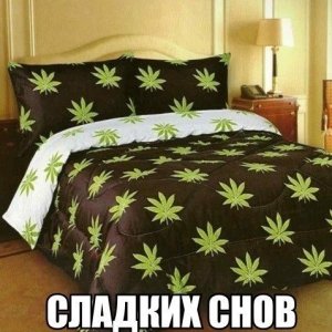 Сон