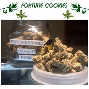 Fortune Cookies