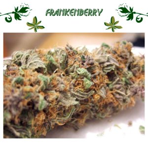 Frankenberry