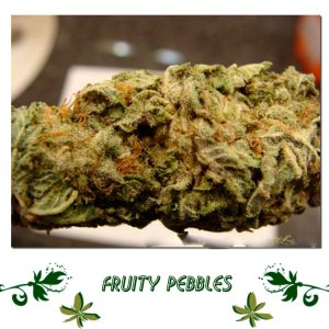 Fruity Pebbles сорт