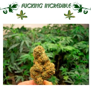 Fucking Incredible
