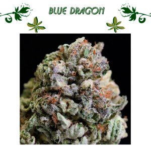 Blue Dragon