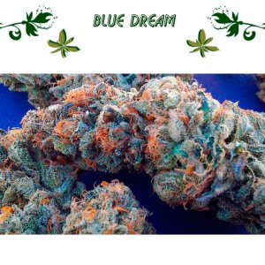Blue Dream
