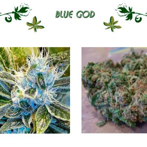 blue God