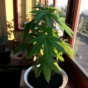 20150727 193003