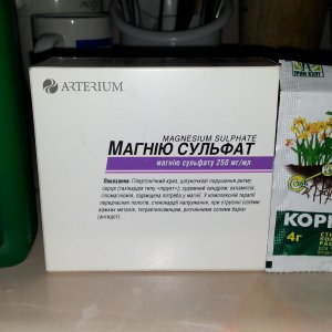 20150727 200243
