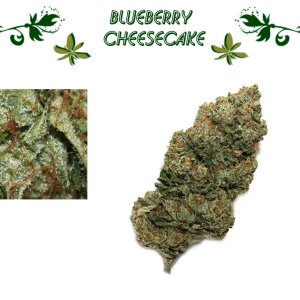 Blueberry Cheesecake