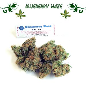 Blueberry Haze
