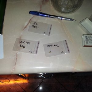 20150804 100506
