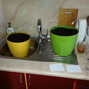 20150804 100519
