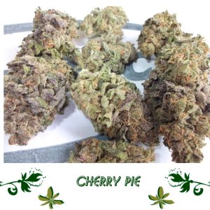 Cherry Pie сорт