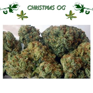 Christmas OG