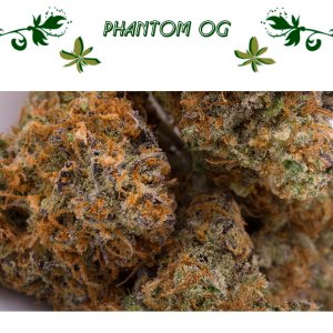 Phantom OG