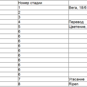 Жизненный цикл растения.