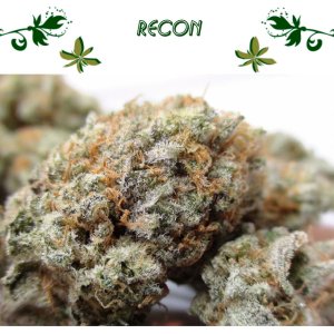 ReCon