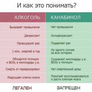 Почему люди считают коноплю лучше алкоголя
