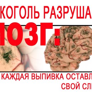 Вред спиртного на организм