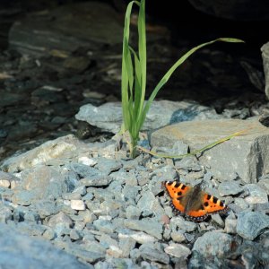 IMG 3508 1