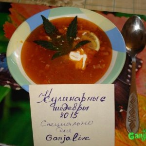 викона
