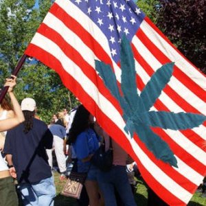Узаконение марихуаны в Америке  не повергла к увеличению ее пользования подростками