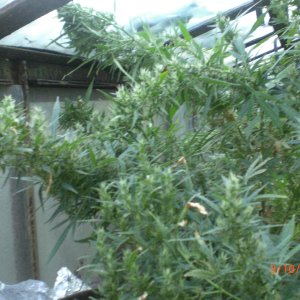 CIMG0062