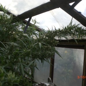 CIMG0064