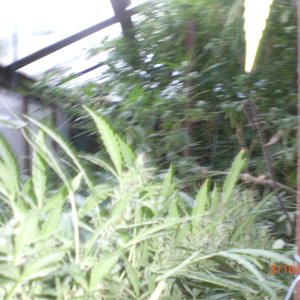CIMG0065