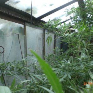 CIMG0067