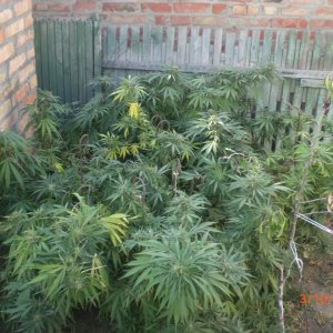 CIMG0068