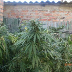 CIMG0069