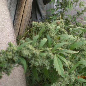 CIMG0072