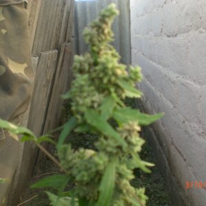 CIMG0073