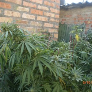 CIMG0074