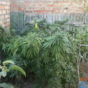 CIMG0076