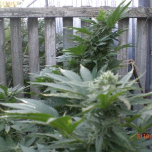 CIMG0078