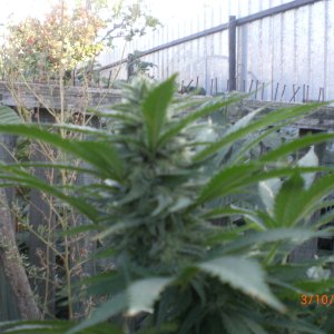 CIMG0080
