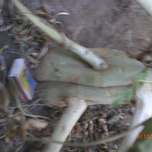 CIMG0070