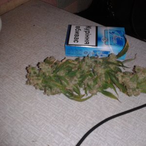 2015 10 04 21.26.37