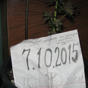 IMG_5594.JPG