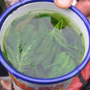 Чай для любителей отдохнуть