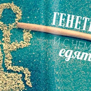 Сохранение генетик