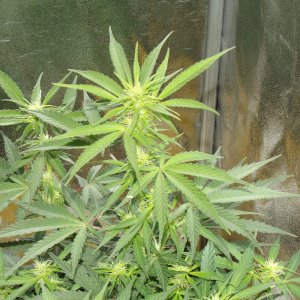 DSCF1835[1]
