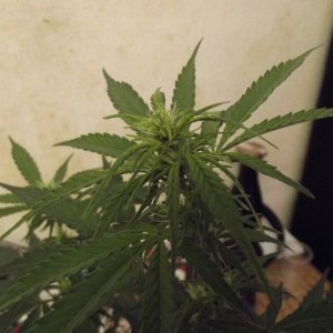 DSCF1839[2]