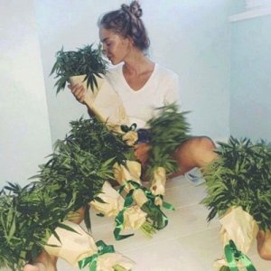 Подарили пару букетов марихуаны)