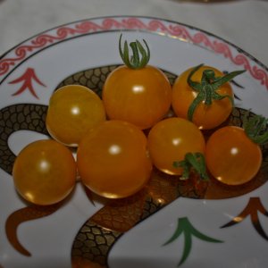 3268   перцы