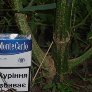СТВОЛ1