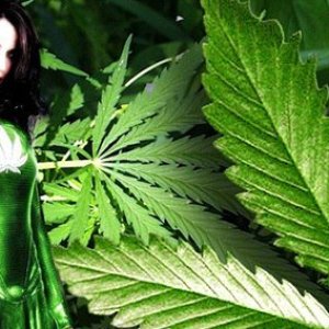 Супер марихуана)
